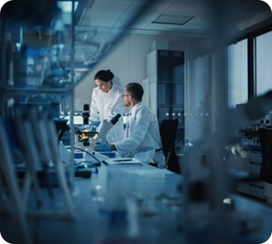 Lab Work 3